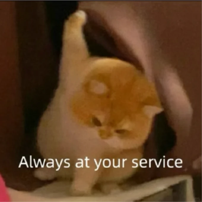 The same cat meme imported with MemePouch: full frame kept, caption 'Always at your service' intact